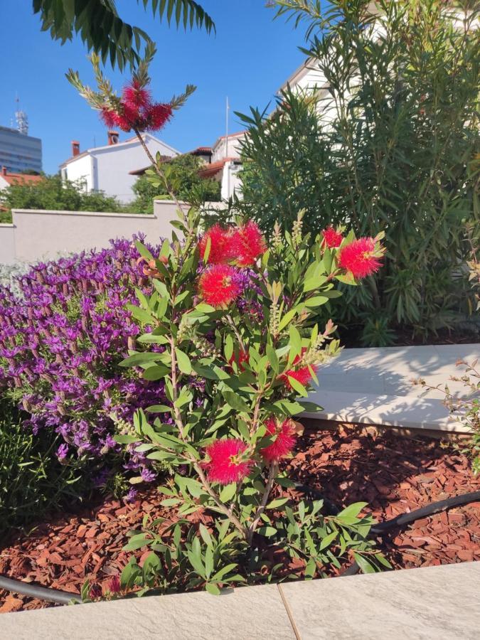 Apartment With Heated Pool, Villa Regina PUY Exterior foto